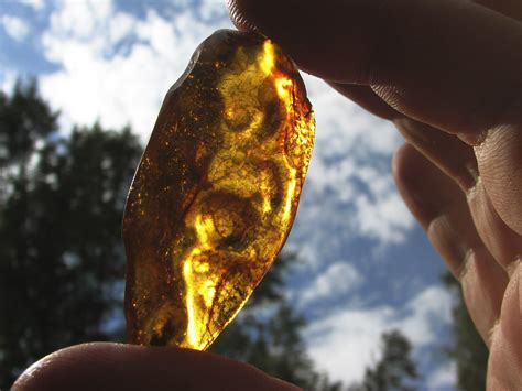 Fossilised resin .